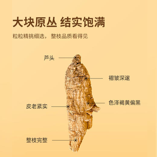 【西洋参精装礼盒】200克 美国原产西洋参原丛甄选5g原丛 礼盒优选送礼体面 商品图4
