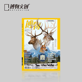 博物杂志 2024年1月刊  鹿