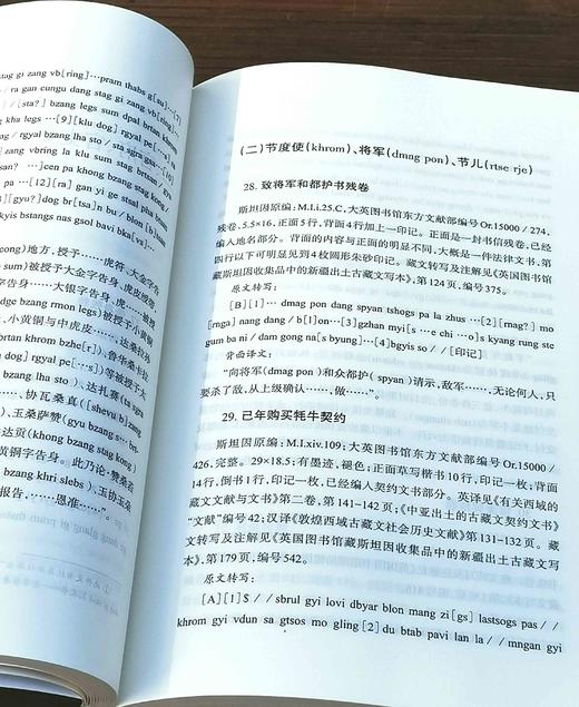 《民国新疆焉耆蒙古族档案选编》《英国收藏新疆出土古藏文文书选译》，16开，杨铭等编译，新疆人民出版社2014年版，两册总定价155元，售价：82元。 商品图7