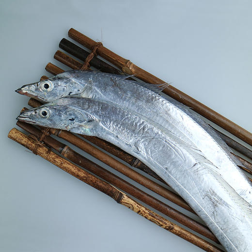 【浙江好物】舟山带鱼段400g*3袋  顺丰直达 商品图2