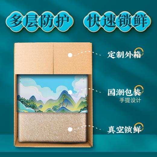 袁谷隆平芯米东北珍米5kg 东北大米 辽河盘锦大米 圆粒香米 10斤2025新米 商品图2