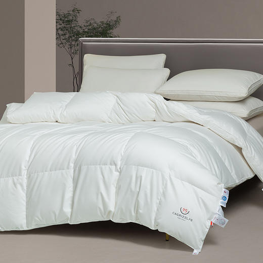 【专柜-多样屋】静柔鹅绒被全棉纯棉秋冬季床单被罩加厚保暖 商品图1