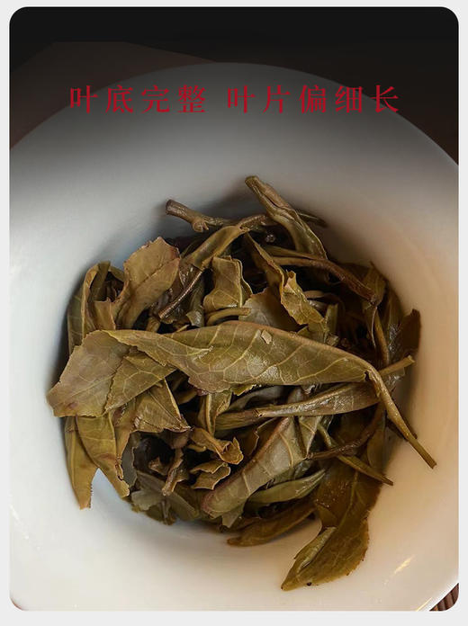 生普 | 2022年 千百树 勐库印象龙珠 100g 商品图5