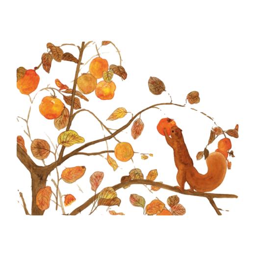 柿子熟了   学前大班正版现货速发|名师推荐|小学生课外阅读 商品图1