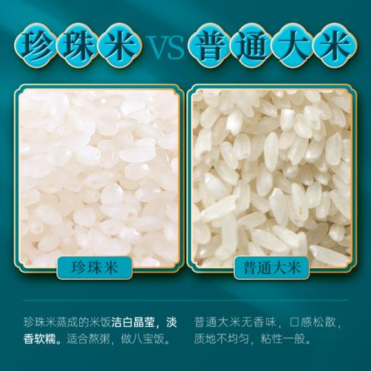 袁谷隆平芯米东北珍米5kg 东北大米 辽河盘锦大米 圆粒香米 10斤2025新米 商品图1