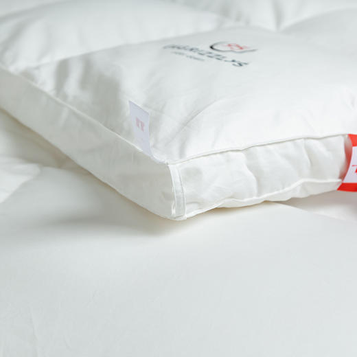 【专柜-多样屋】静柔鹅绒被全棉纯棉秋冬季床单被罩加厚保暖 商品图3