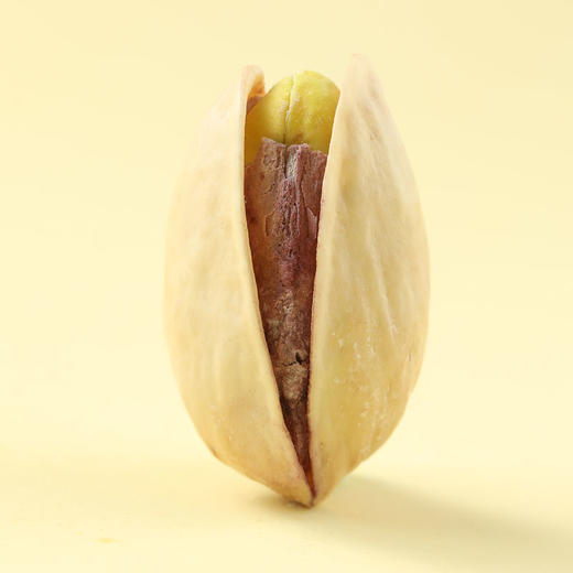 味滋源开心果208g大颗粒原色盐焗新疆特产散装零食品新货坚果炒货【FX】 商品图7