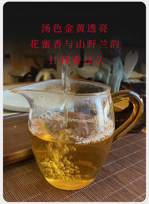 生普 | 2022年 千百树 蜜韵兰香龙珠 100g 商品图2