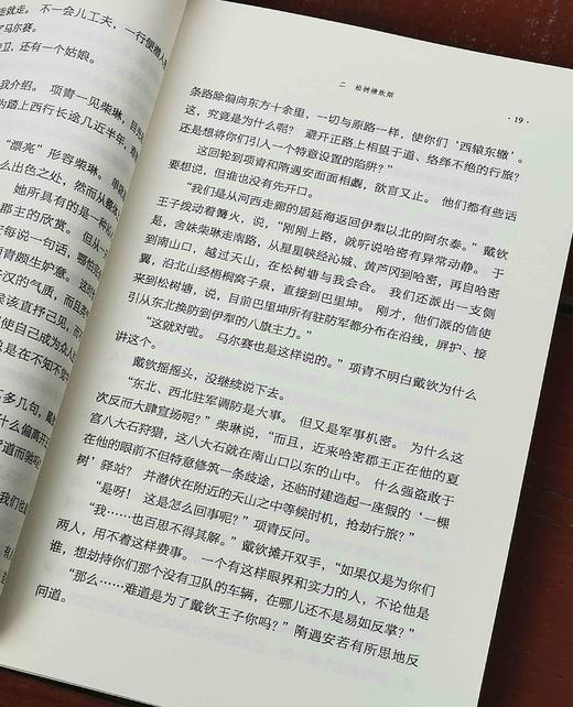 绝版！！《天山虹》，平装，32开，杨镰著，新疆人民出版社2016年一版二印，441页，定价36，略溢价46元。 商品图5