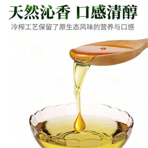 邵阳红 东方油茶礼盒 500ml*2瓶 商品图2