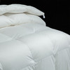 【专柜-多样屋】静柔鹅绒被全棉纯棉秋冬季床单被罩加厚保暖 商品缩略图2