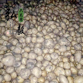 【弘毅六不用生态农场】六不用 土豆5斤/份 （山西基地）
