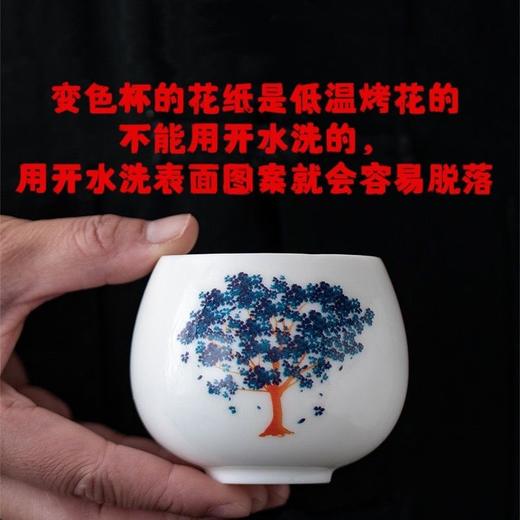 高白瓷樱花遇热水变色茶杯主人杯单个大号陶瓷中式茶盏家用个人杯 商品图2