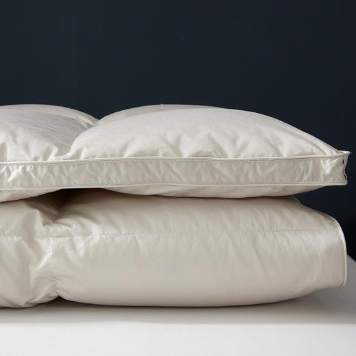 【专柜-多样屋】纯棉秋冬季芯肌鹅绒被-香槟金/220*240cm 商品图2