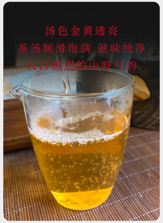 生普 | 2022年 千百树 勐库印象龙珠 100g 商品图3