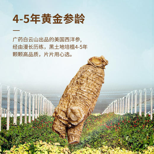 【西洋参精装礼盒】200克 美国原产西洋参原丛甄选5g原丛 礼盒优选送礼体面 商品图3
