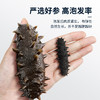【淡干海参礼盒100g】 送礼佳品严选正宗辽参 自然生长层层把关个头匀称 商品缩略图5