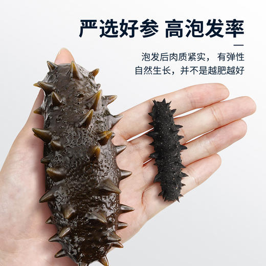 【淡干海参礼盒100g】 送礼佳品严选正宗辽参 自然生长层层把关个头匀称 商品图5