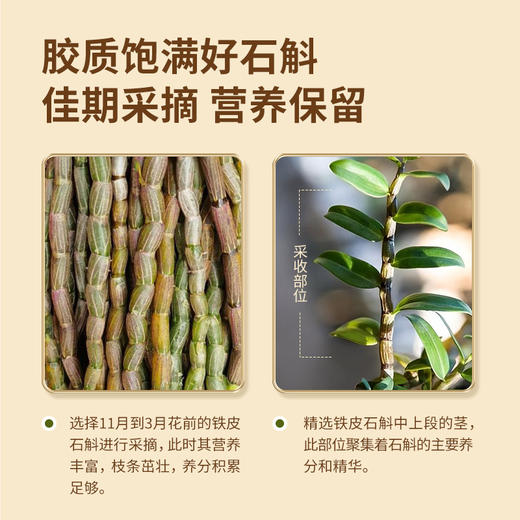 【铁皮石斛50克】礼盒 颗粒饱满胶质浓郁 商品图3