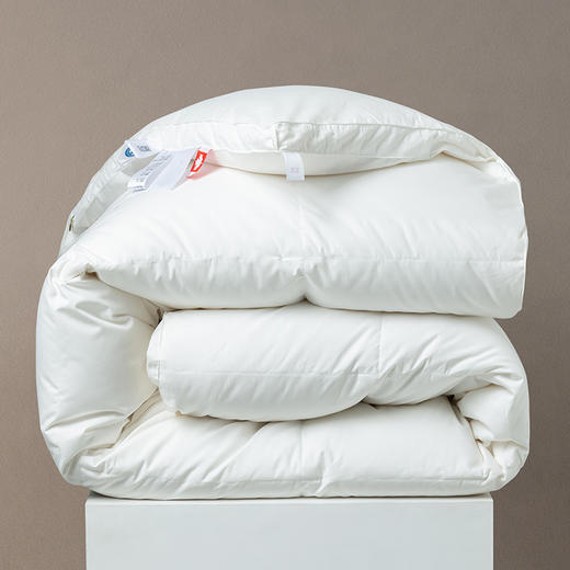 【专柜-多样屋】静柔鹅绒被全棉纯棉秋冬季床单被罩加厚保暖 商品图6