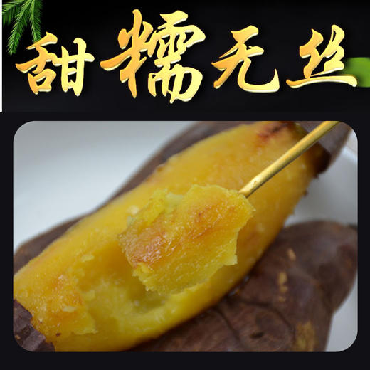 【报盟新年献礼】中国农科院出品  正宗黄金蜜48°香薯   商品图4