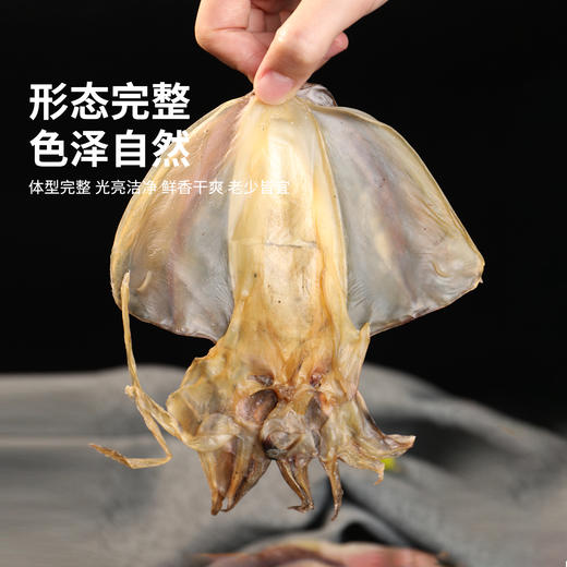 港岛姑娘 海钓新鲜大墨鱼干淡晒无盐目鱼干大乌贼干干货煲汤送礼优选 半斤4-6只 商品图2