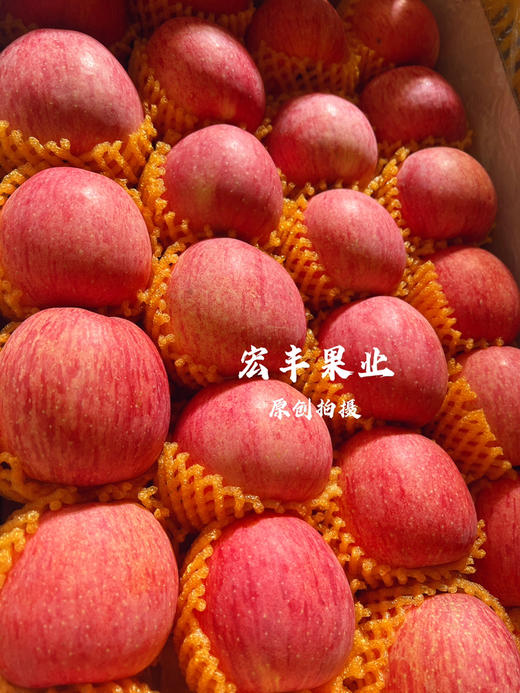 产地直发洛川苹果 条纹漂亮 口感甜脆 活动价9.8元一斤 商品图9