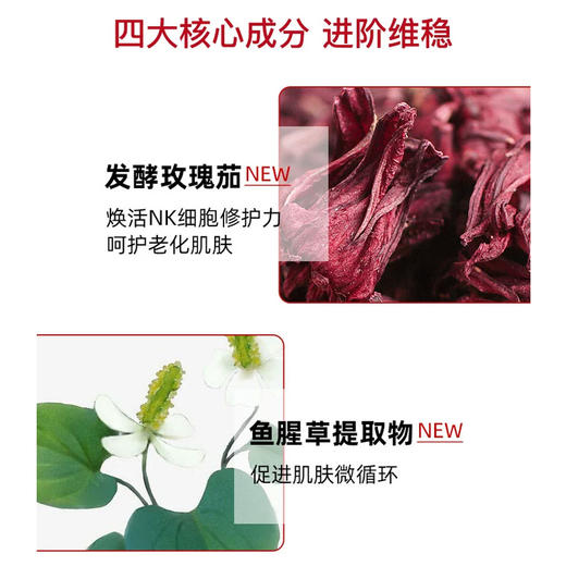 【跨境】资生堂 红腰子精华50ml 红妍肌活精华露 补水保湿紧致维稳强韧改善暗沉 第三代（效期25年3月） 商品图3