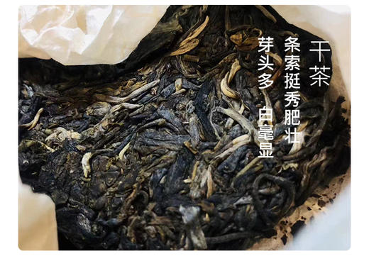 生普·单株 | 【2023年新茶】 叶舞地  霸卡单株 商品图2