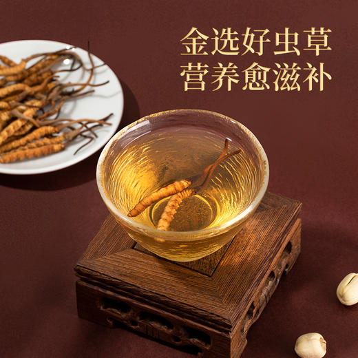 【冬虫夏草礼盒装】 根根甄选 虫体肥大饱满色泽金黄多层防护独立管装 4根/克 送礼佳品 商品图2