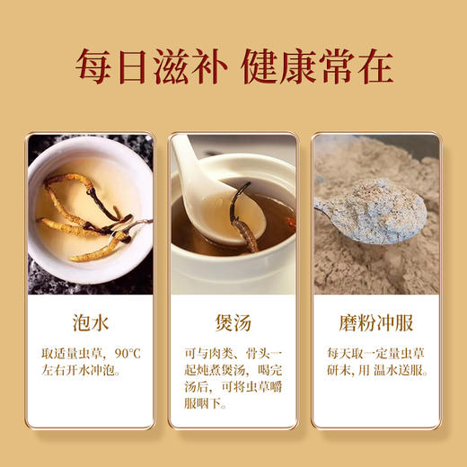 【冬虫夏草礼盒装】 根根甄选 虫体肥大饱满色泽金黄多层防护独立管装 4根/克 送礼佳品 商品图4