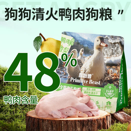原始兽鸭肉香梨冻干犬粮500g 全价主粮 清热防泪痕 高性价比 不吃包退 商品图2