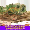 3D恐龙立体书：恐龙探秘 3-6岁 进入3D立体世界，超震撼立体呈现，揭秘恐龙世界，带给孩子非凡智慧的科学盛宴。 商品缩略图3