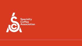  Specialty Coffee Association 课程介绍 