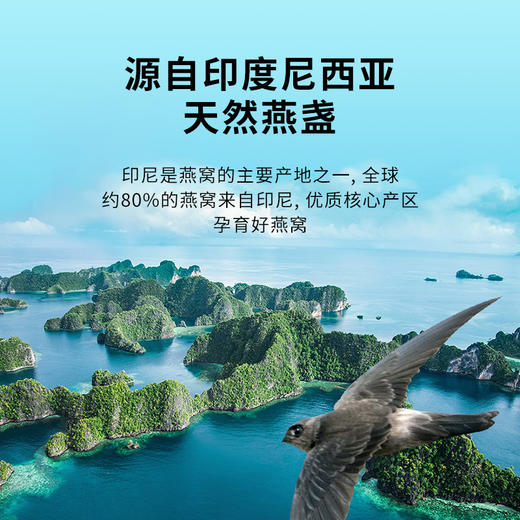 【印尼燕窝5g】印尼进口即炖燕窝 免泡发免挑毛天然燕盏 溯源进口正品可查 商品图2