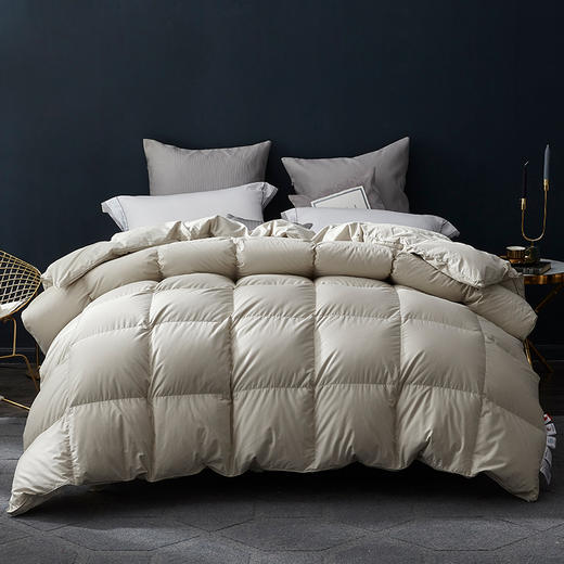 【专柜-多样屋】纯棉秋冬季芯肌鹅绒被-香槟金/220*240cm 商品图0