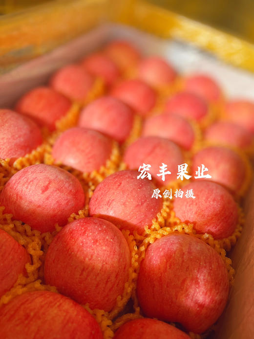 产地直发洛川苹果 条纹漂亮 口感甜脆 活动价9.8元一斤 商品图14