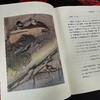 【插图珍藏版】爱伦·坡故事集 商品缩略图4