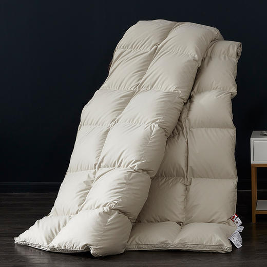 【专柜-多样屋】纯棉秋冬季芯肌鹅绒被-香槟金/220*240cm 商品图6