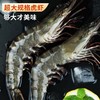 🦐海捕液氮鲜冻 · 野生黑虎虾 · 虾青素满满 · 肉质紧实鲜甜 · 白嫩细腻/陕西省外只能拍2.5斤/需加干冰 商品缩略图0