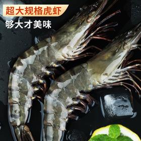 🦐海捕液氮鲜冻 · 野生黑虎虾 · 虾青素满满 · 肉质紧实鲜甜 · 白嫩细腻/陕西省外只能拍2.5斤/需加干冰