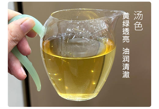 生普·单株 | 【2023年新茶】 叶舞地  霸卡单株 商品图3