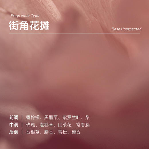 chillmore且悠街角花摊礼盒 商品图2