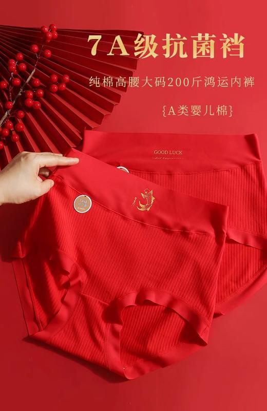 A类婴儿棉 红色内裤 大码纯棉 7A抑菌 本命年新年高腰裤 337#（130斤-210斤） 商品图0