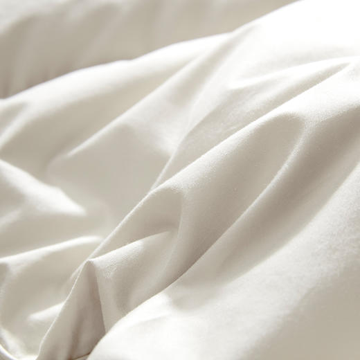 【专柜-多样屋】纯棉秋冬季芯肌鹅绒被-香槟金/220*240cm 商品图3