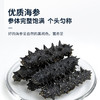 【淡干海参礼盒100g】 送礼佳品严选正宗辽参 自然生长层层把关个头匀称 商品缩略图3