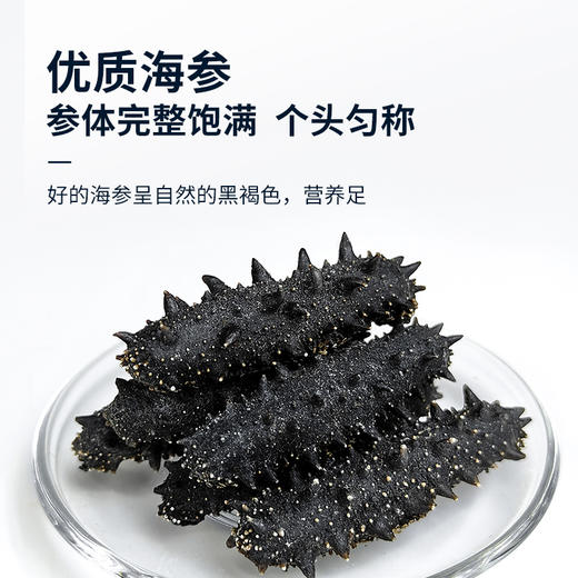 【淡干海参礼盒100g】 送礼佳品严选正宗辽参 自然生长层层把关个头匀称 商品图3