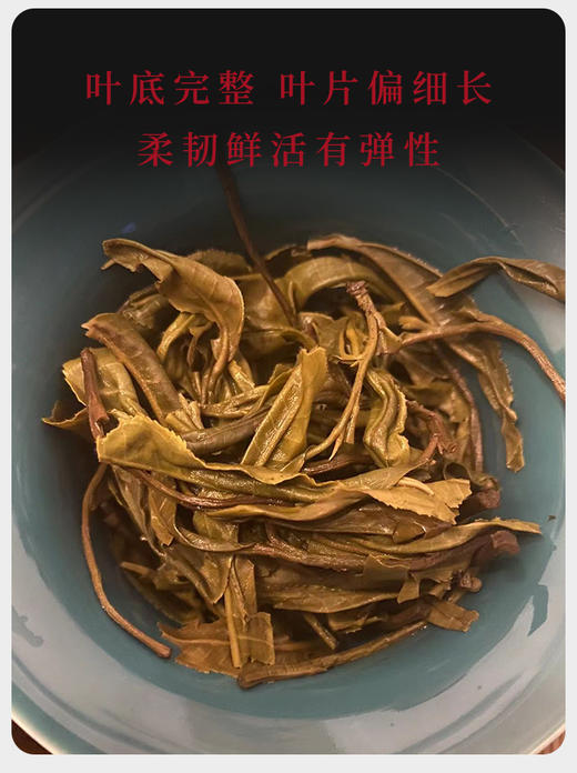 生普 | 2022年 千百树 蜜韵兰香龙珠 100g 商品图4