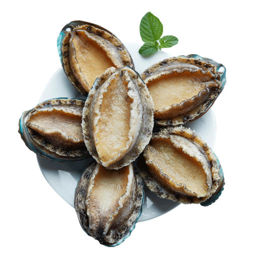 L深海鲍鱼码头直发超大个，深海大皇金鲍鱼 肥美爽滑个大饱满 【活冻】 商品图7