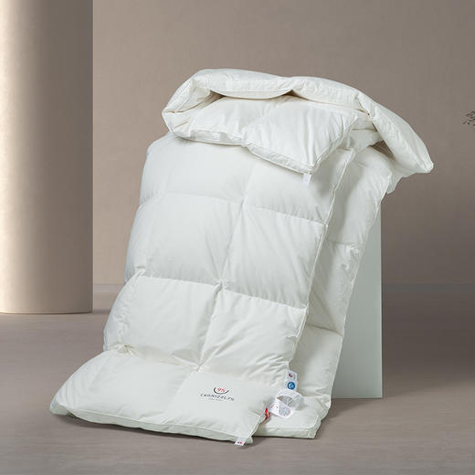 【专柜-多样屋】静柔鹅绒被全棉纯棉秋冬季床单被罩加厚保暖 商品图5